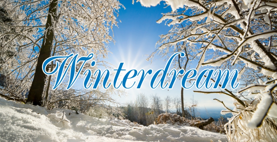 12 - Winterdream